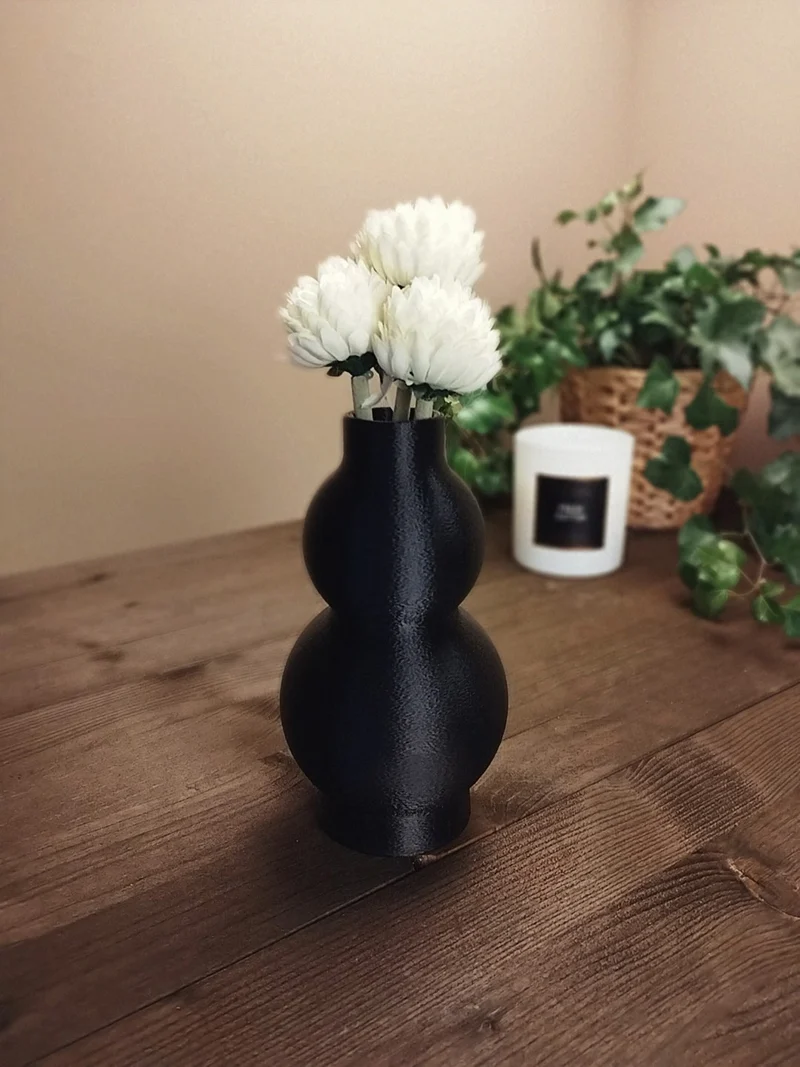 Vase moderne avec deux courbes élégantes