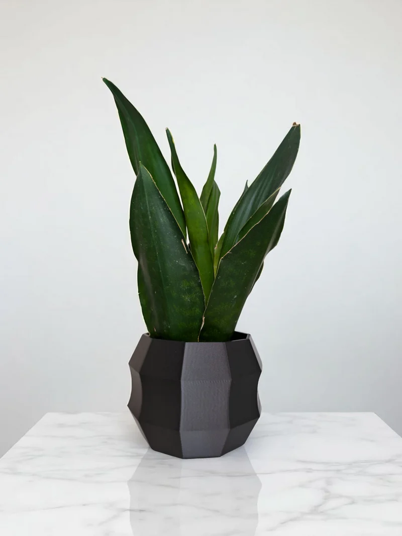 Pot de fleurs décagonal moderne au design minimaliste