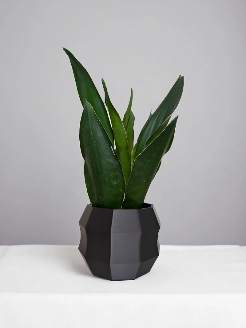 Pot de fleurs décagonal moderne au design minimaliste