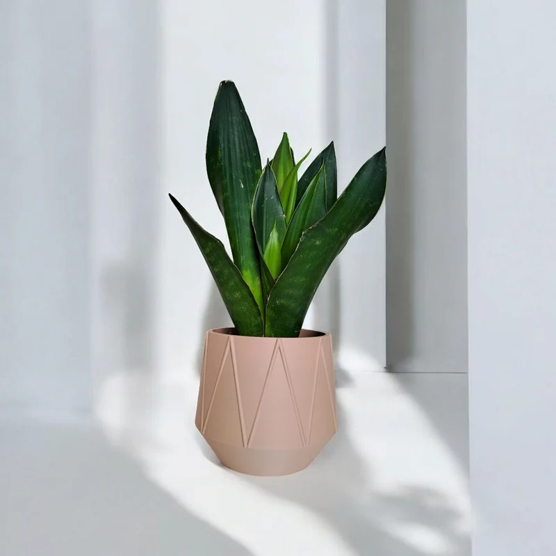 Pot de fleurs moderne GeoBloom avec design géométrique