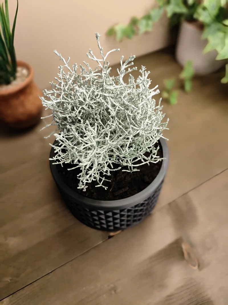 Pot de fleurs géométrique moderne avec carrés inclinés