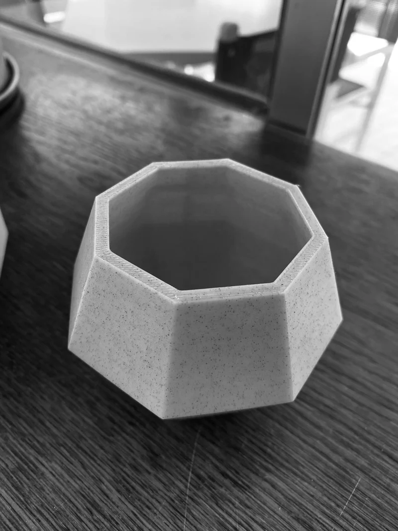 Pot de fleurs octogonal moderne pour succulentes
