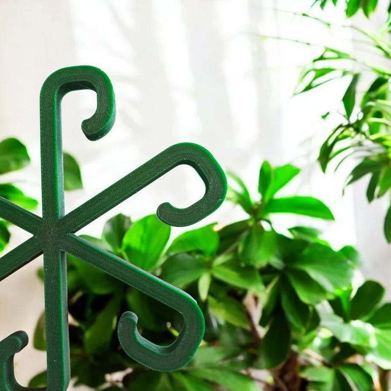 Supports de plantes stables pour soutenir les plantes d'intérieur