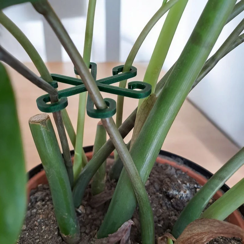 Supports de plantes stables pour soutenir les plantes d'intérieur