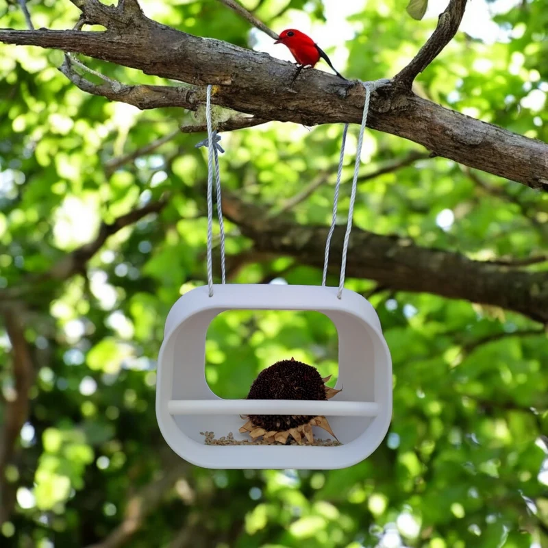 Station de nourrissage pratique pour oiseaux à suspendre dans le jardin