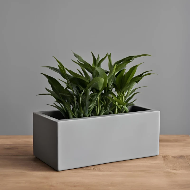 Jardinière rectangulaire moderne pour petites plantes