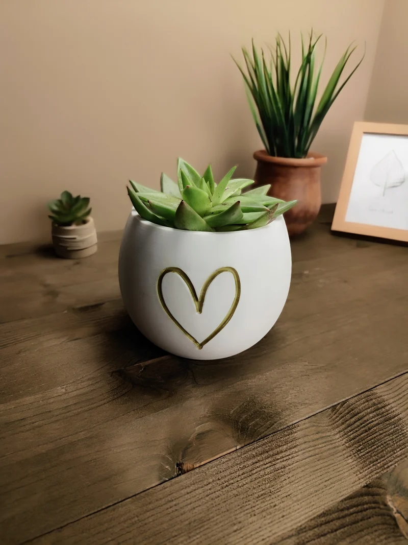 Mignon petit pot de fleurs avec relief en forme de cœur