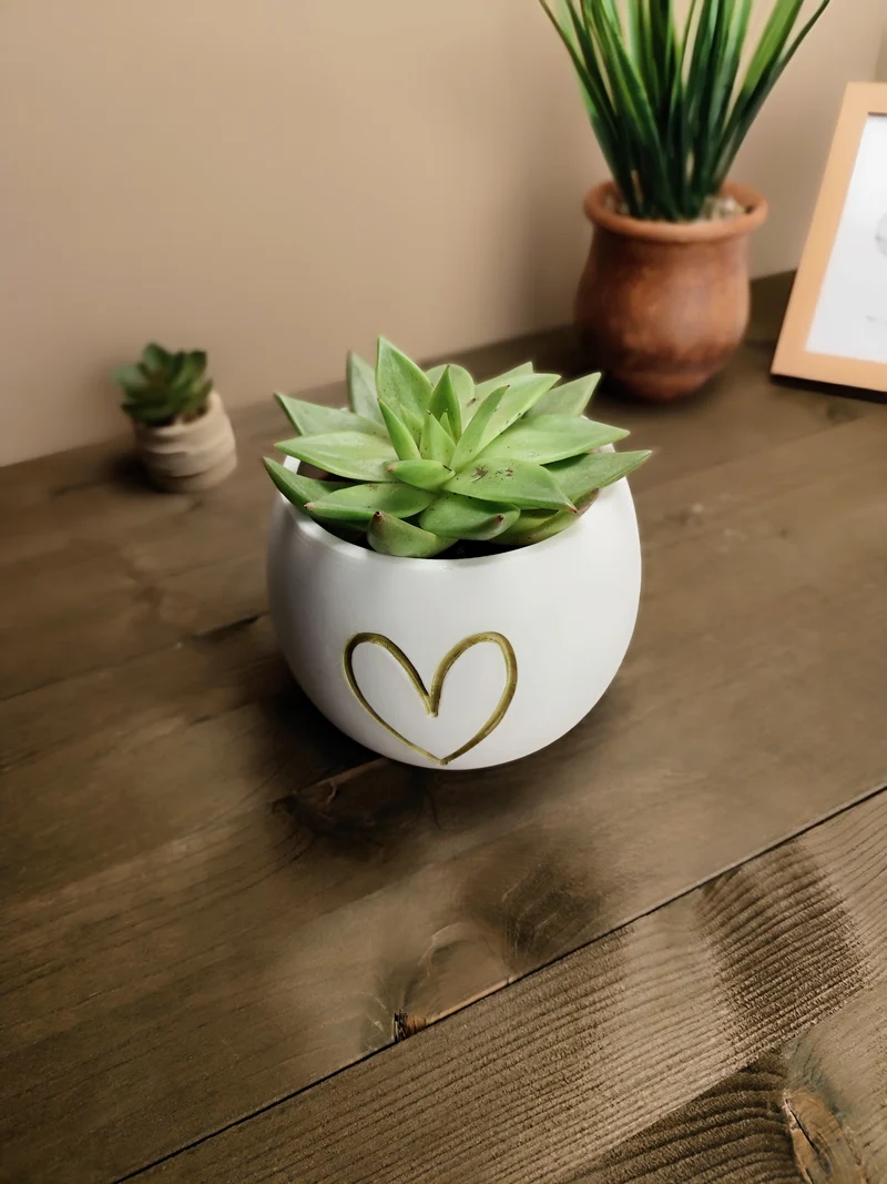 Mignon petit pot de fleurs avec relief en forme de cœur