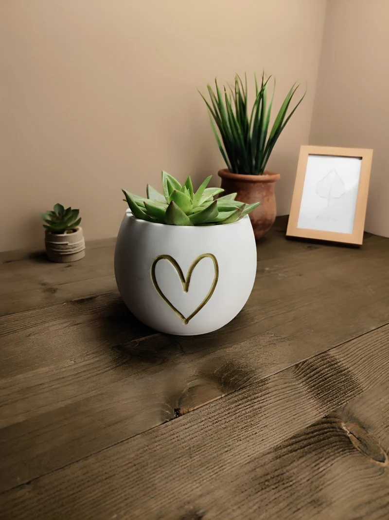 Mignon petit pot de fleurs avec relief en forme de cœur