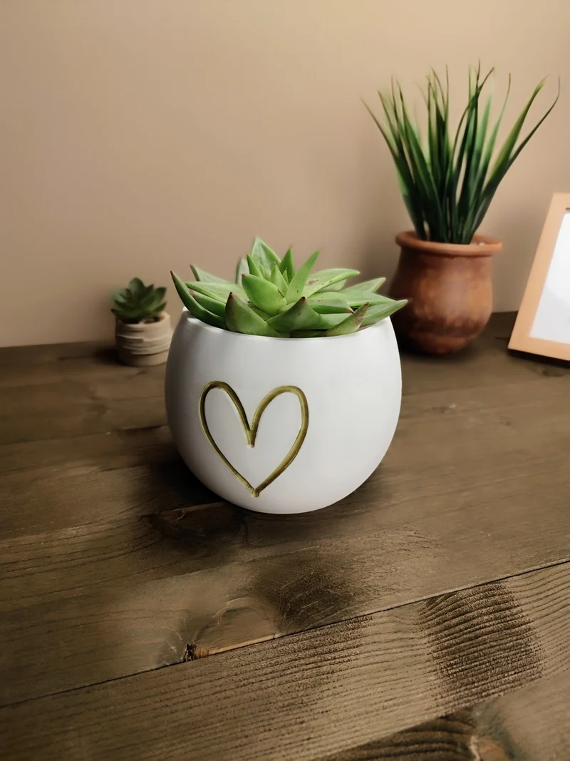 Mignon petit pot de fleurs avec relief en forme de cœur