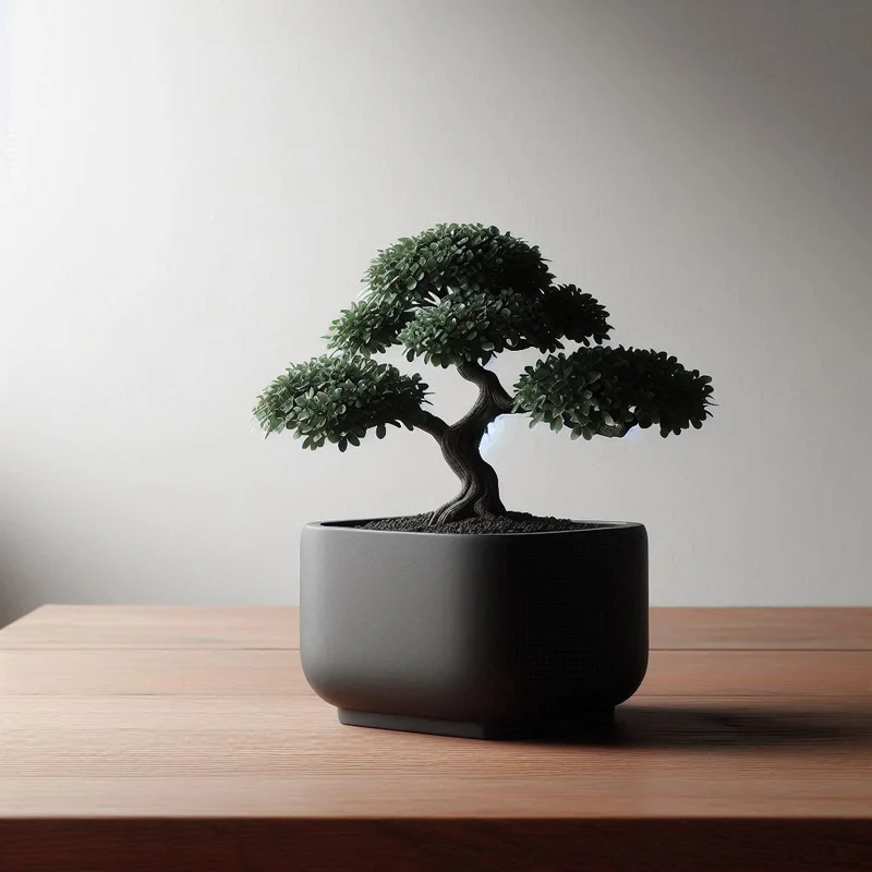 Vase carrée moderne pour bonsaï et décoration