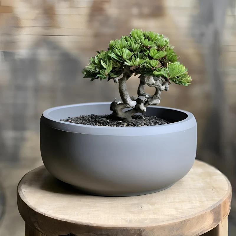 Pot de bonsaï minimaliste plat pour plantes