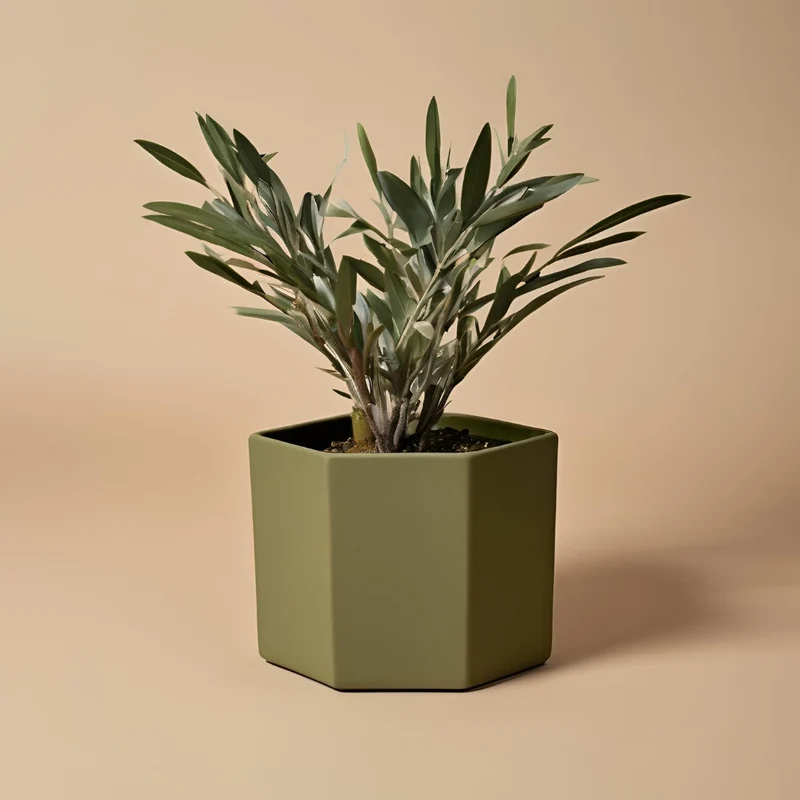 Vase et pot de fleurs hexagonaux modernes