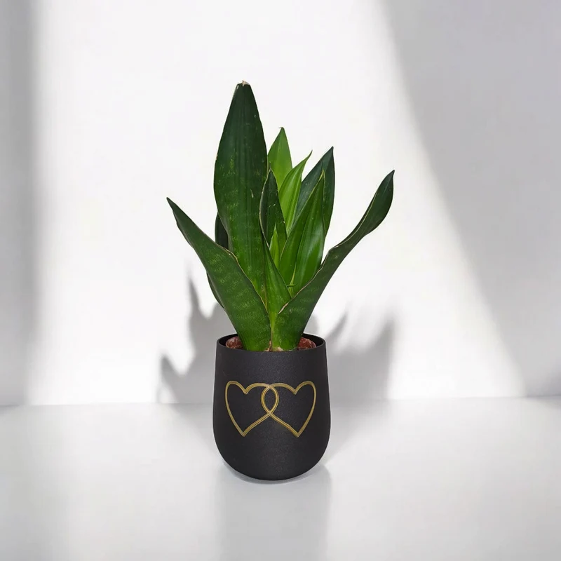 Pot de fleurs rond moderne avec deux cœurs