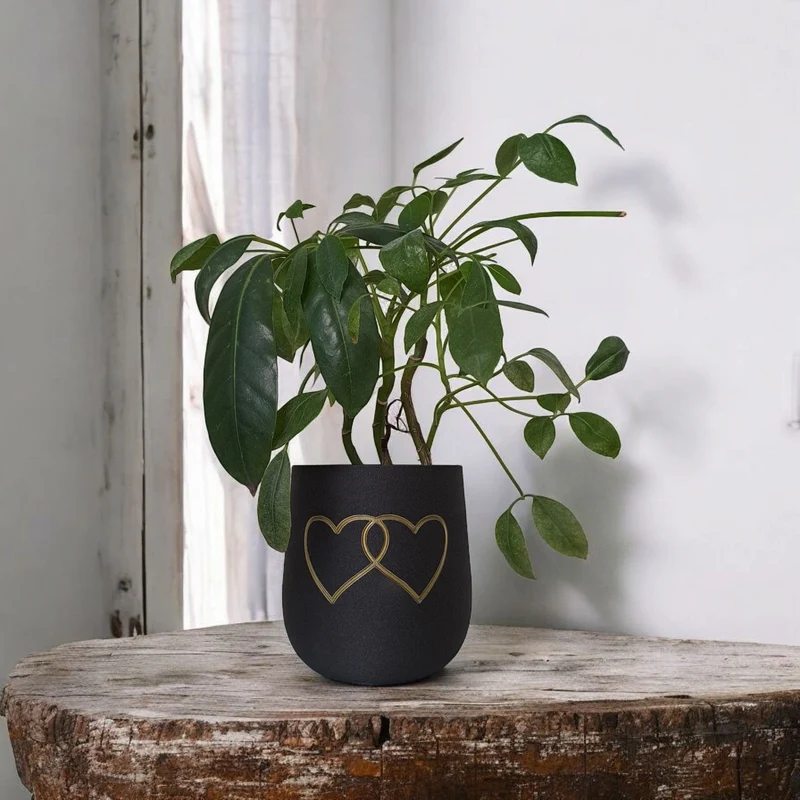Pot de fleurs rond moderne avec deux cœurs