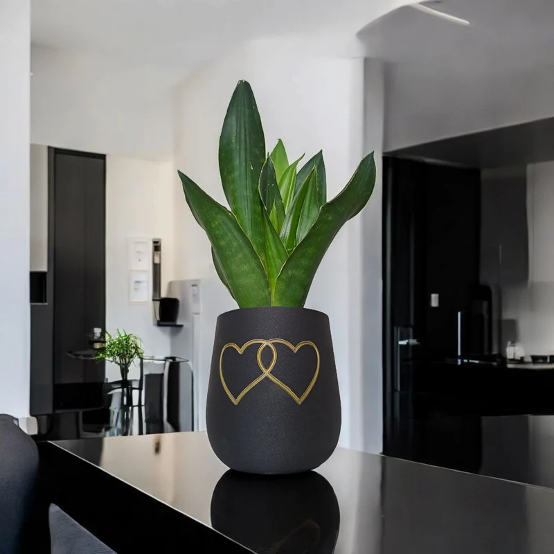 Pot de fleurs rond moderne avec deux cœurs