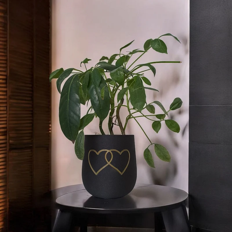 Pot de fleurs rond moderne avec deux cœurs