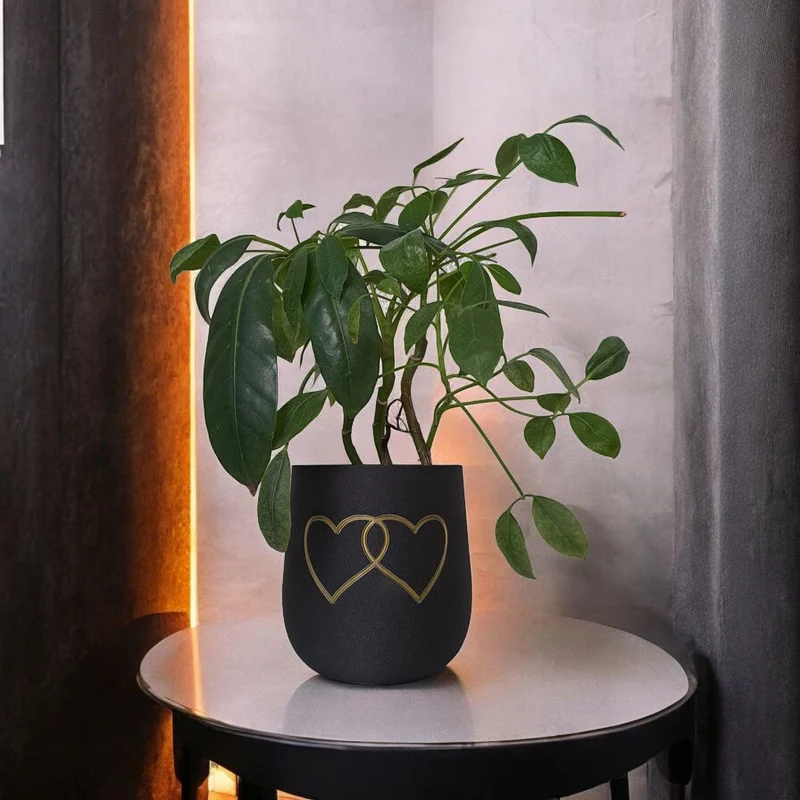 Pot de fleurs rond moderne avec deux cœurs