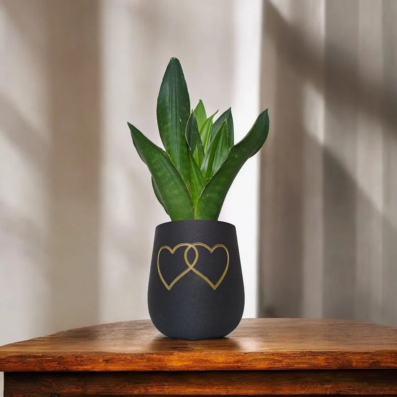 Pot de fleurs rond moderne avec deux cœurs
