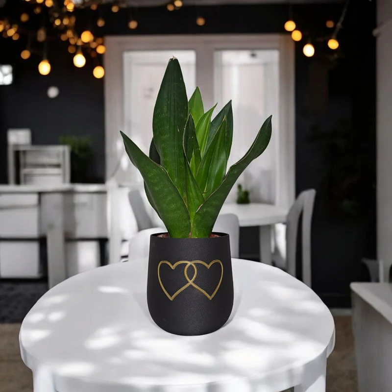 Pot de fleurs rond moderne avec deux cœurs