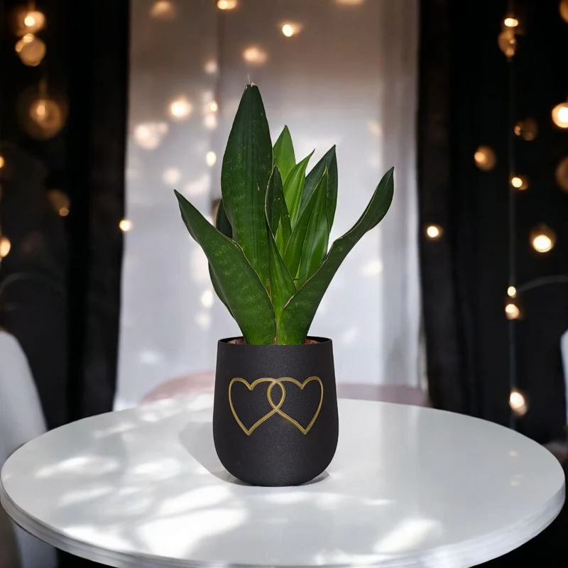 Pot de fleurs rond moderne avec deux cœurs