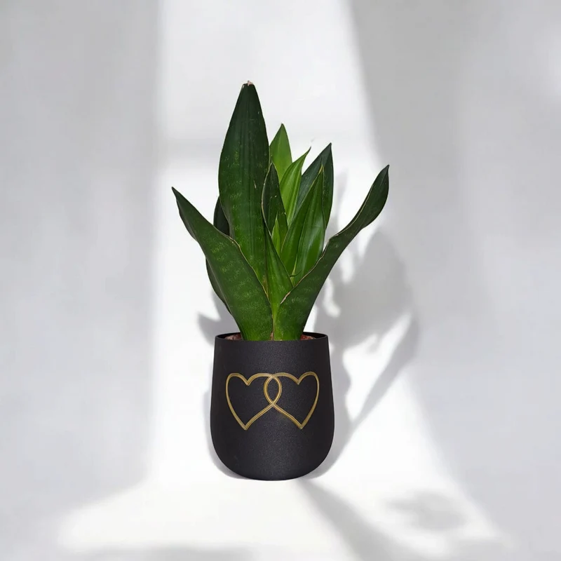 Pot de fleurs rond moderne avec deux cœurs