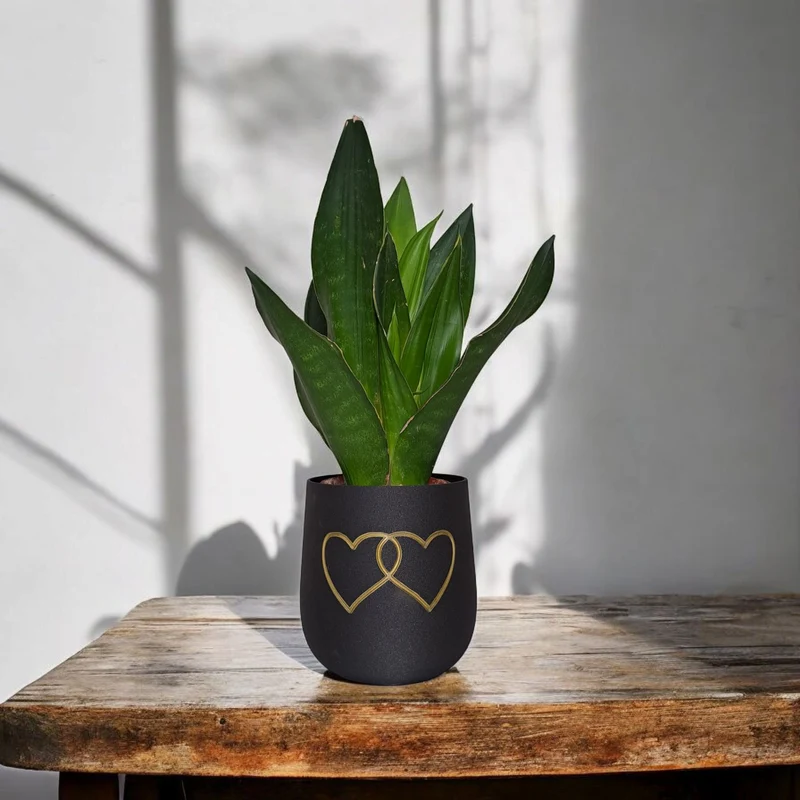 Pot de fleurs rond moderne avec deux cœurs