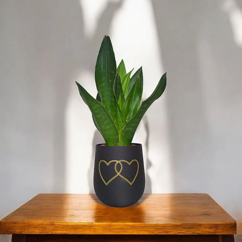 Pot de fleurs rond moderne avec deux cœurs