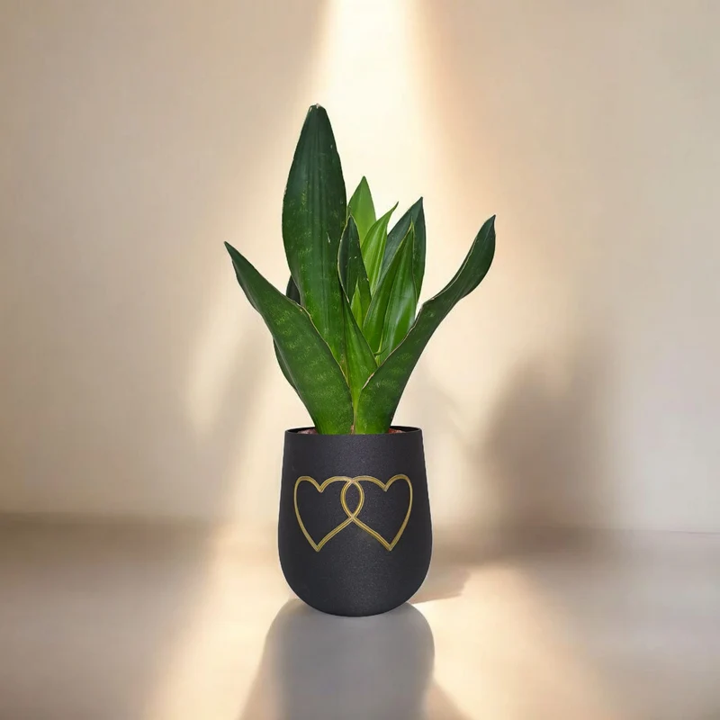 Pot de fleurs rond moderne avec deux cœurs