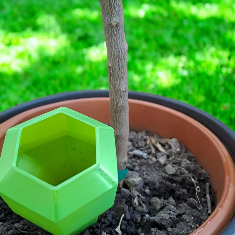 Pointe d'arrosage hexagonale pour plantes en été