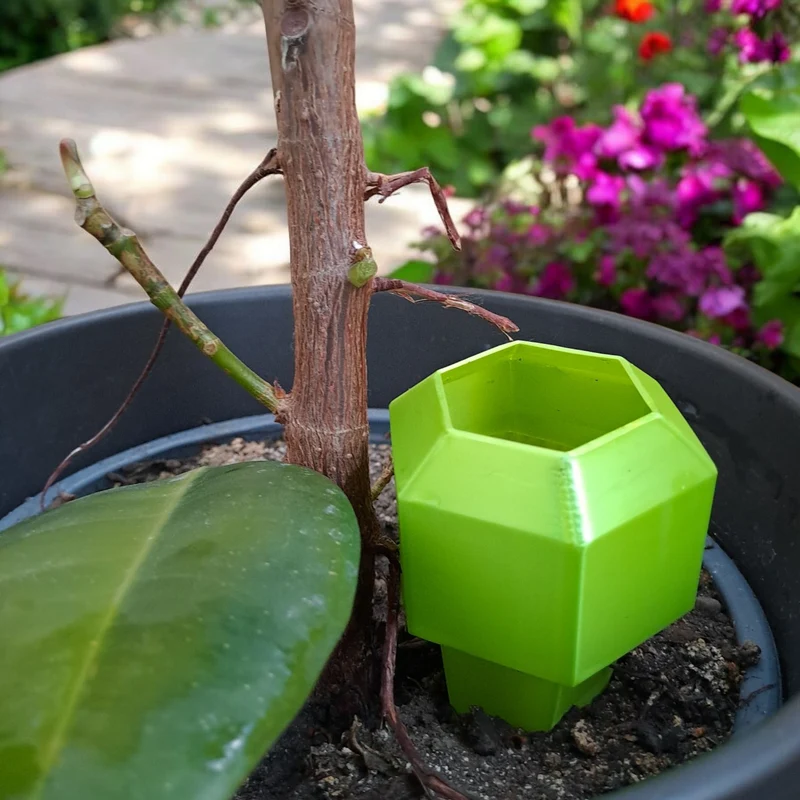 Pointe d'arrosage hexagonale pour plantes en été
