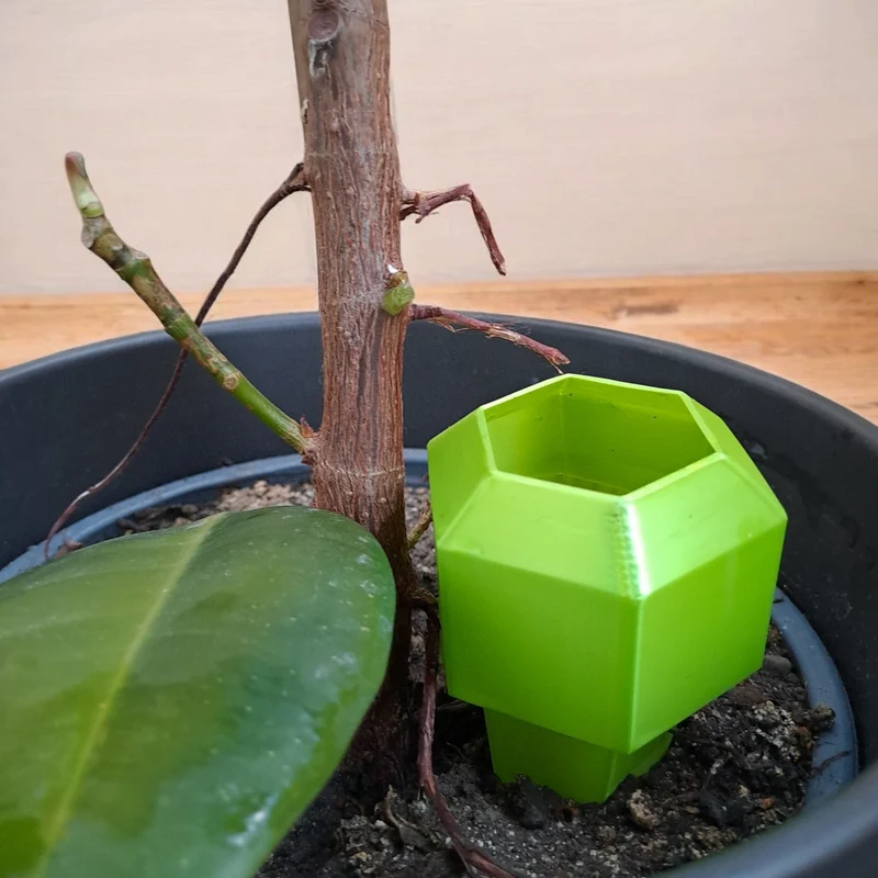 Pointe d'arrosage hexagonale pour plantes en été