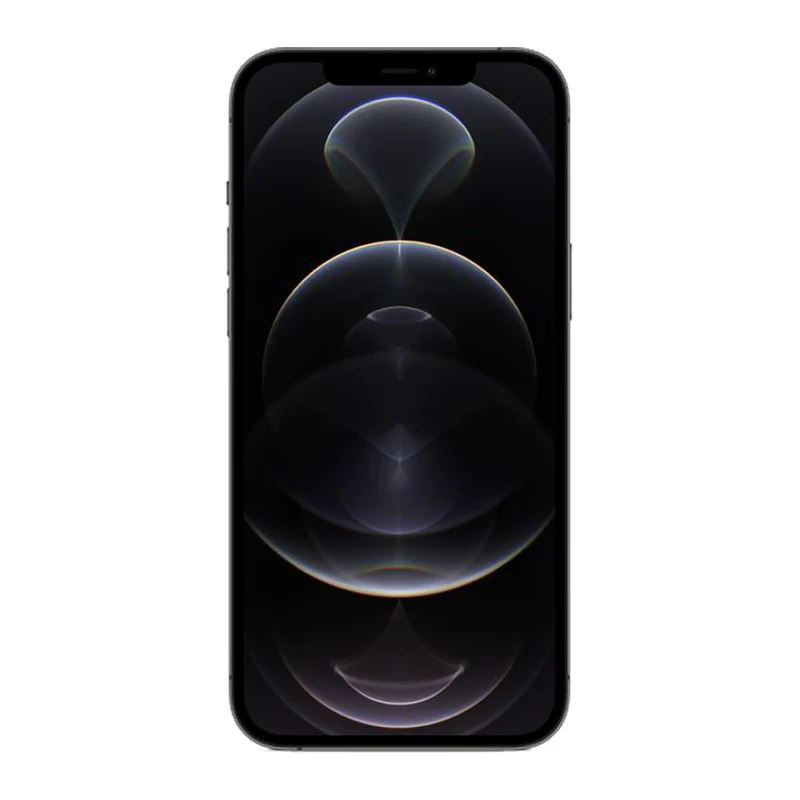 iPhone 12 Pro Max 256 Go - Graphite - Débloqué - Bon état