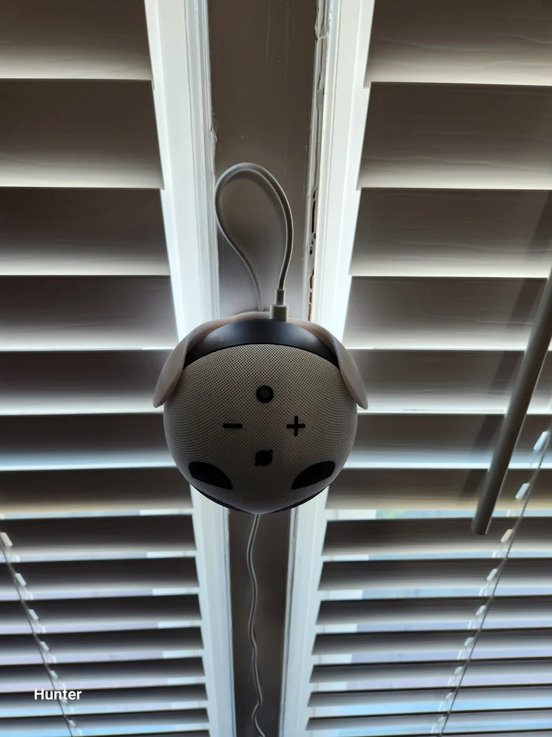 Support mural Echo Dot Gen 4/5