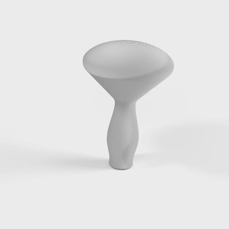 Rapiçage de champignon pour chaussettes