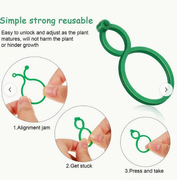 Pinces à plantes pratiques pour plantes grimpantes