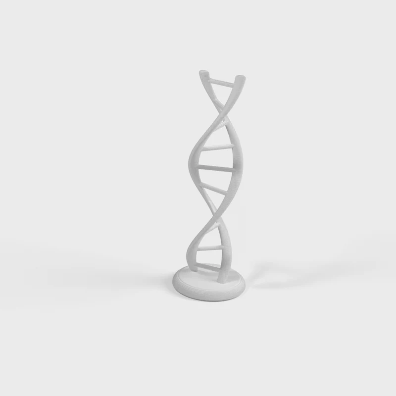 Double hélice d'ADN