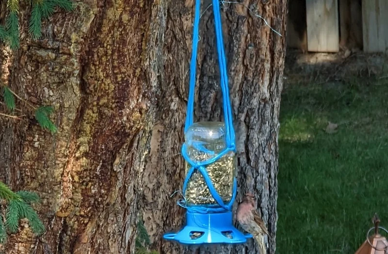 Couvercle de mangeoire à oiseaux Mason Jar