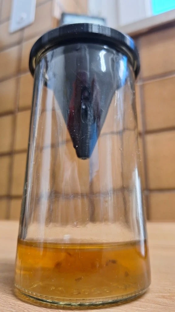 Piège à mouches à fruits efficace pour la maison - Pour le recyclage du verre