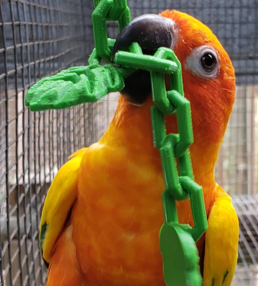 Jouet pour oiseaux : Chaîne Twist-in avec vignes