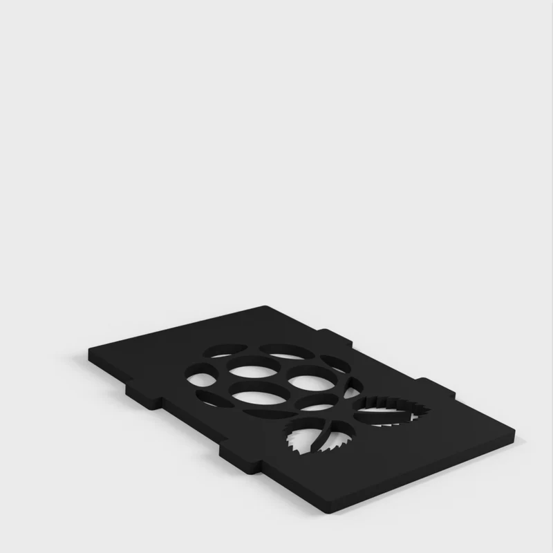 Boîte Adafruit Style Raspberry Pi