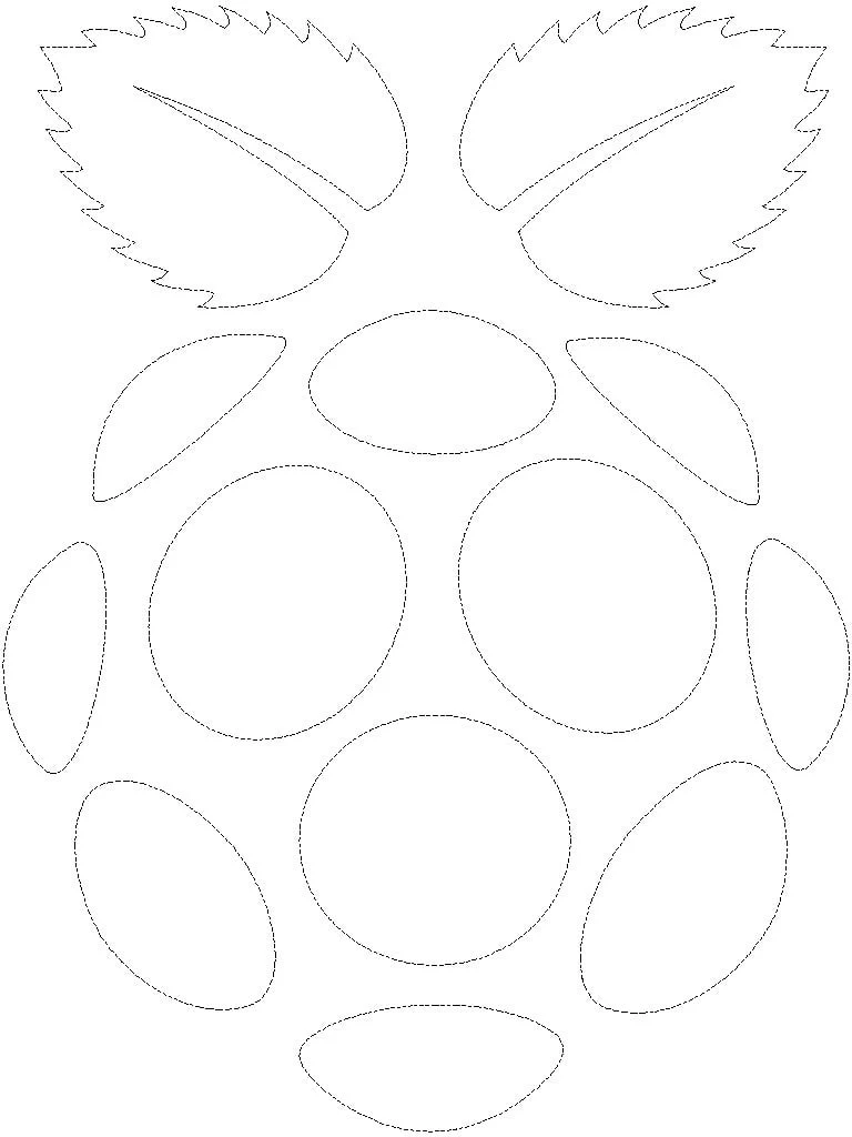 Étui pour Raspberry Pi