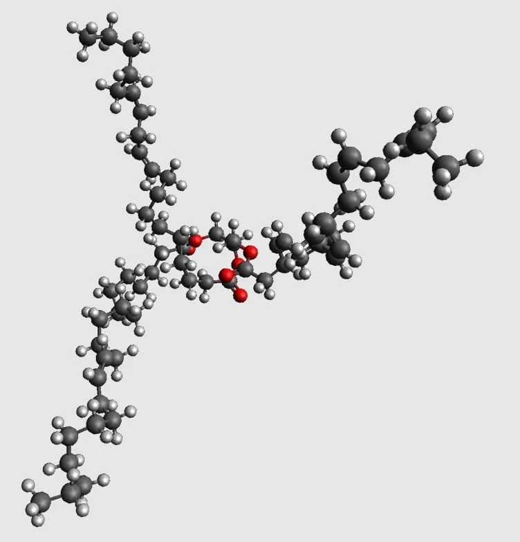 Modèle moléculaire du triacylglycérol à l'échelle atomique