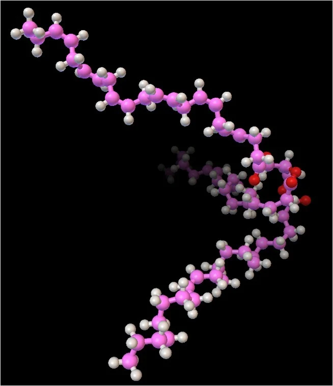 Modèle moléculaire du triacylglycérol à l'échelle atomique