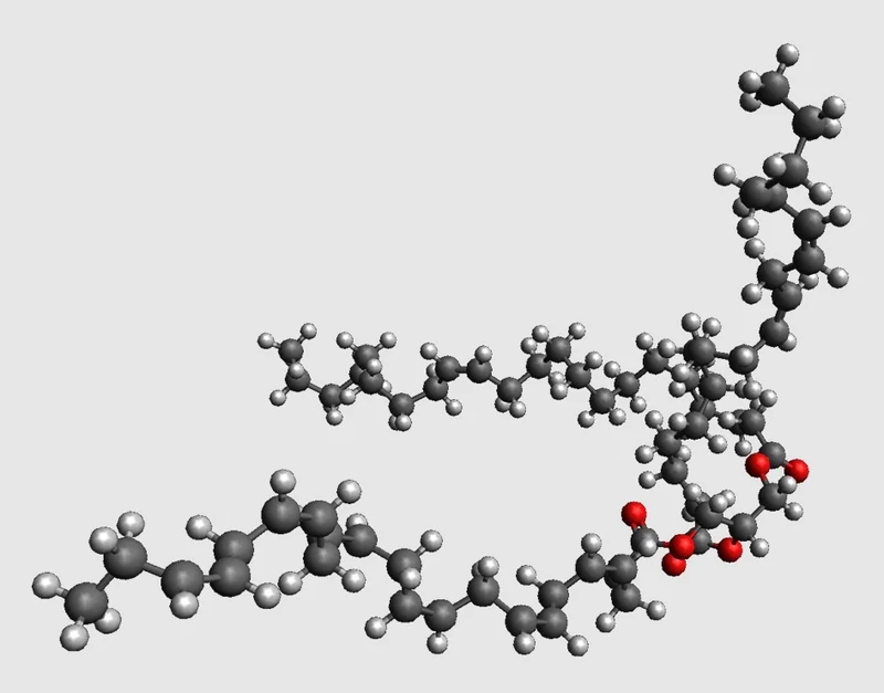 Modèle moléculaire du triacylglycérol à l'échelle atomique