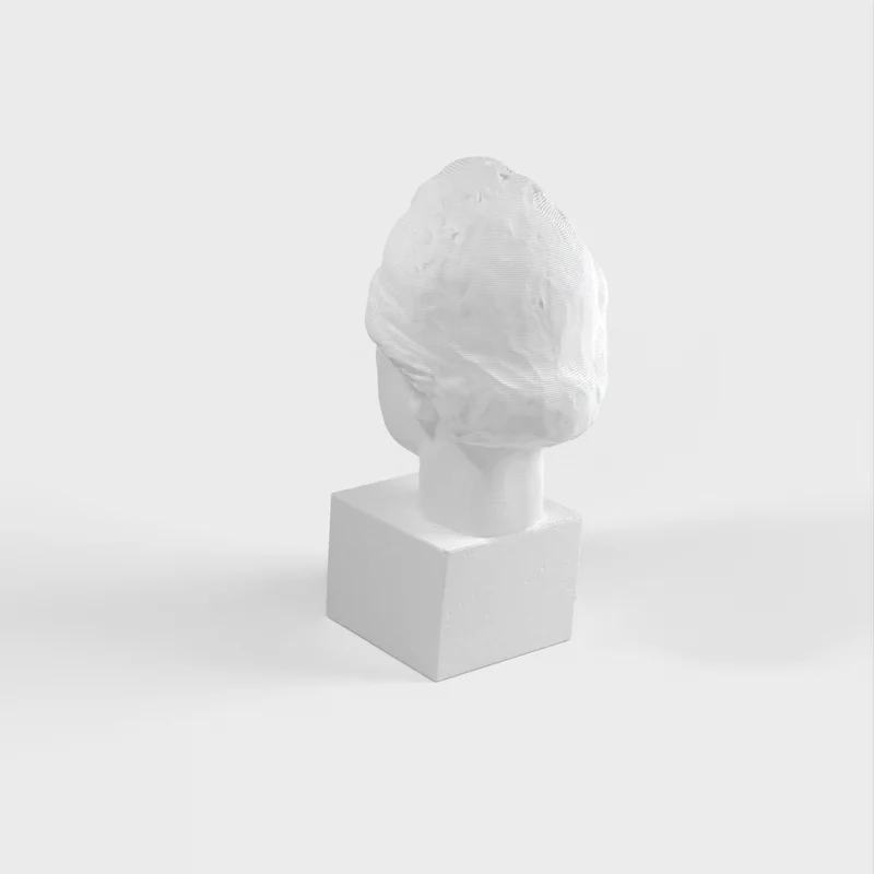 Buste d'Albert Einstein