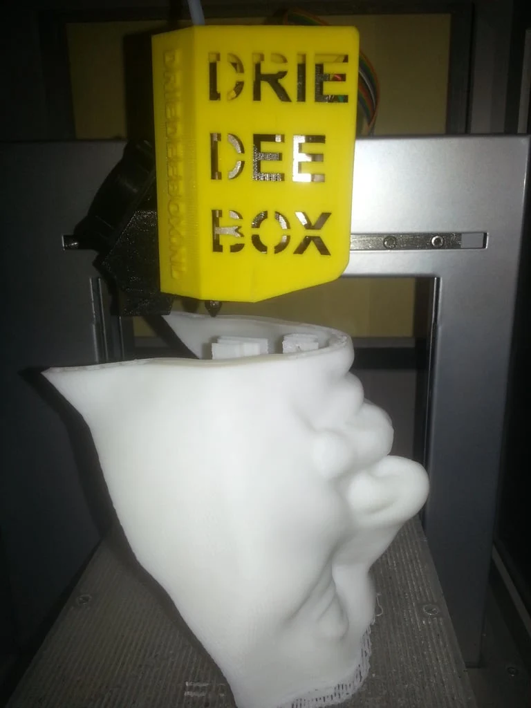 Buste d'Albert Einstein