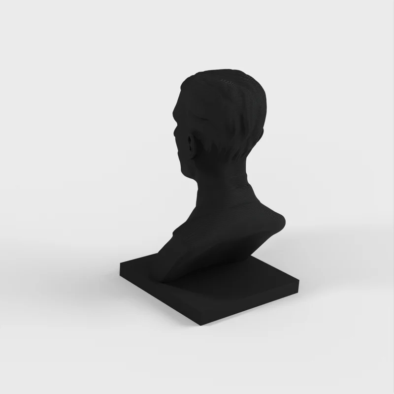 Buste/statue de Nikola Tesla