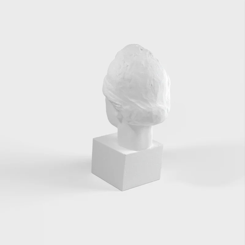 Buste d'Einstein