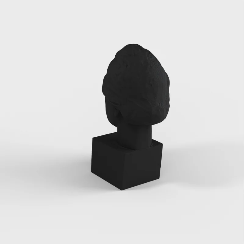 Buste d'Einstein
